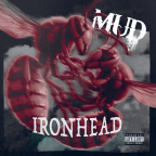 1331_MUD_iron.png