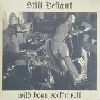 1348_Still-Defiant_wbrnr.jpg
